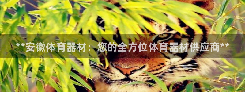 KB88凯时官网登录