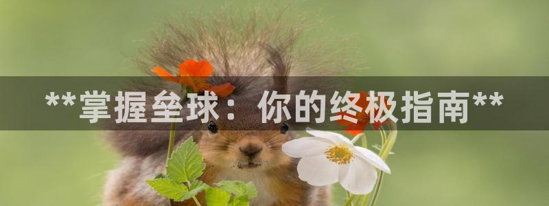 尊龙凯时一人生就是博登入