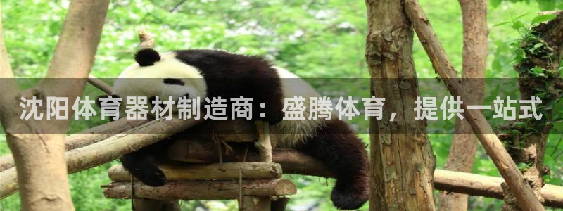 凯时kb88·中国官方网站