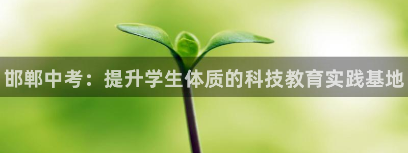 尊龙ag旗舰厅登录 租车app下载