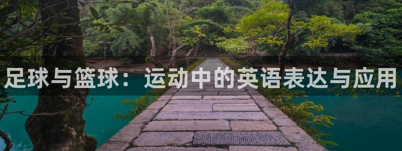 尊龙官网免费下载安装