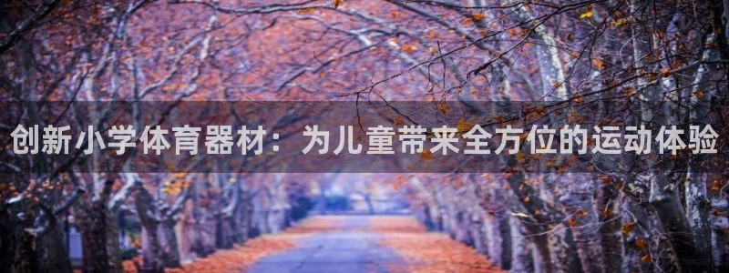 尊龙AG旗舰厅官网：创新小学体育器材：为儿童带来全方位的运动
