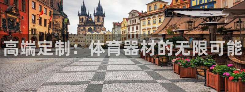 尊龙app怎么样：高端定制：体育器材的无限可能