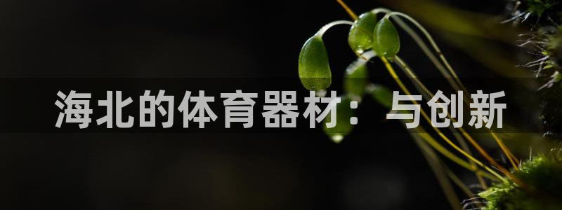 国际凯时ag优质运营商